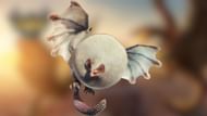 Paolumu in Monster Hunter Now. (Image via Niantic)